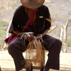 El hombre wayuu, la fibra y la sierra - Natalia Quiñones Rodriguez