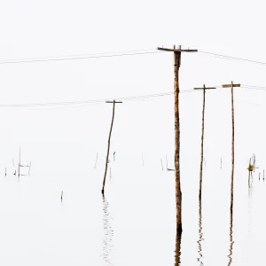 Cienaga Grande del Magdalena - Hernan Jaramillo Ramirez